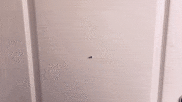 how-super-cute-she-is