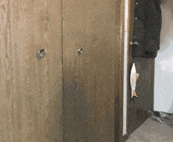 she-could-do-so-many-positions