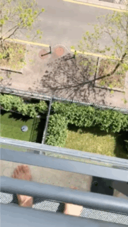 love-my-neighbor