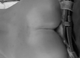 hump-gifs-from-hump-gif-bay