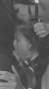 one-of-the-main-activities-for-our-pet…