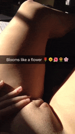 bloom