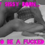 sissy-quote