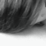 i-like-to-gulp-him-deep