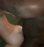 porngif.co-update-#50021