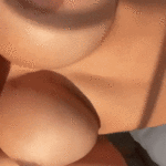 porngif.co-update-#88585