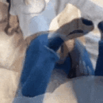 porngif.co-update-#53267