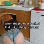 when-the-plumber-i-called-find-out-nothing-is-violated