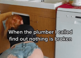 when-the-plumber-i-called-find-out-nothing-is-violated