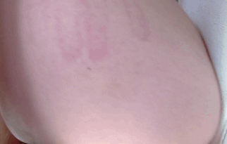 amanda-lane-update-#35728