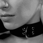 the-pleasure-of-being-owned
