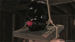 hardcore-update-#48905