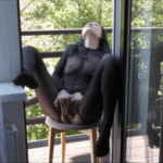 fledgling-cougar’s-ejaculation-badtaha-public-masturbation-with-ejaculation.